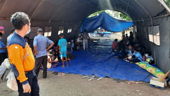 5.830 Warga Mengungsi Akibat Gunung Ili Lewetolok Erupsi, Masih Butuh Bantuan