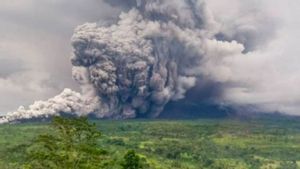 Semeru Awas! Semua Tambang Pasir di Lumajang Langsung Tutup