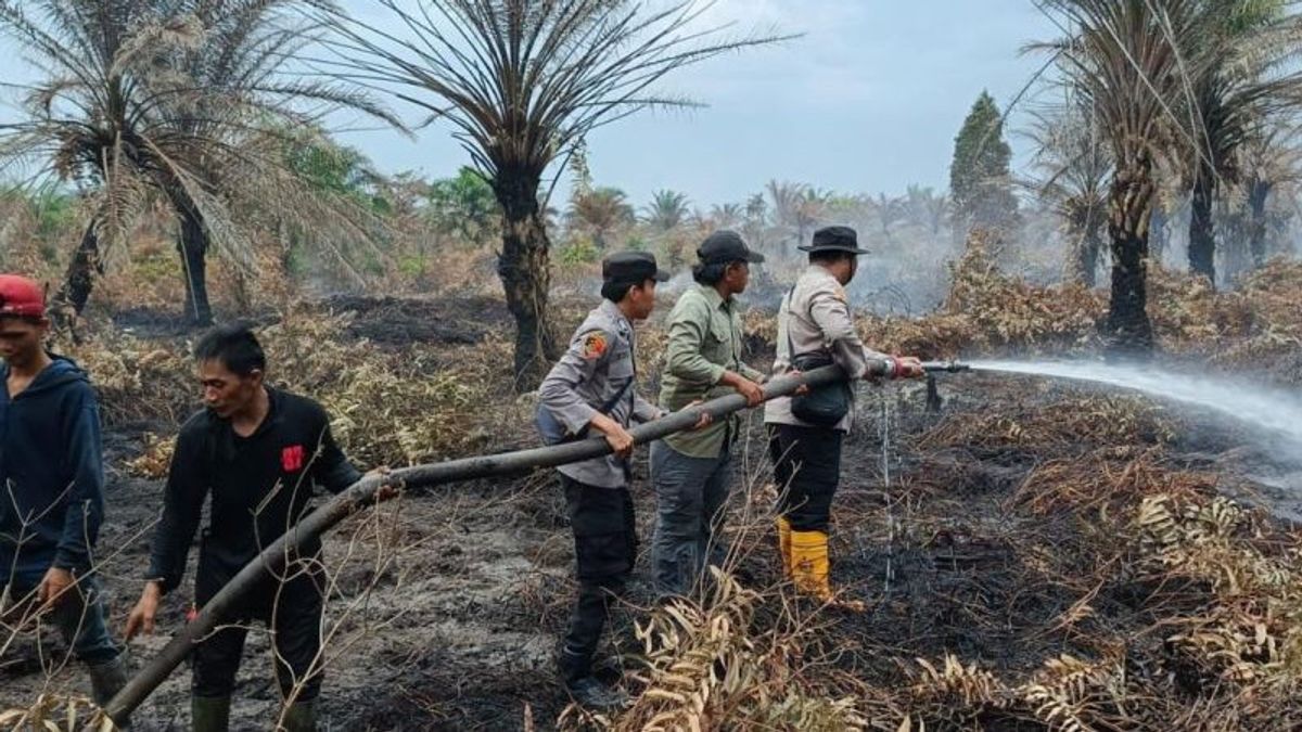 Musi Banyuasin的70公顷森林和陆地火灾自7月27日以来尚未扑灭,BPBD继续努力