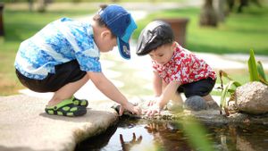 Custody Patterns With Types Of Children And Their Natures