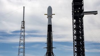 Tingkat Cedera di Fasilitas SpaceX Melebihi Rata-rata Industri pada 2023