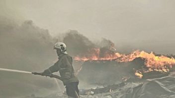 Pengangkutan Sampah Disetop Sementara Akibat Kebakaran TPA Jatibarang Semarang