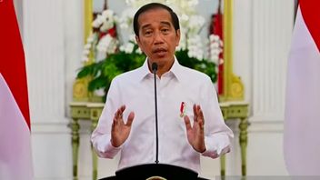 Jokowi Kaji Insentif untuk Investor yang Bisa Produksi Barang Substitusi Impor