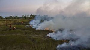 3 Perusahaan PBPH di Riau Disegel Kemenhut Akibat Kebakaran Lahan Gambut