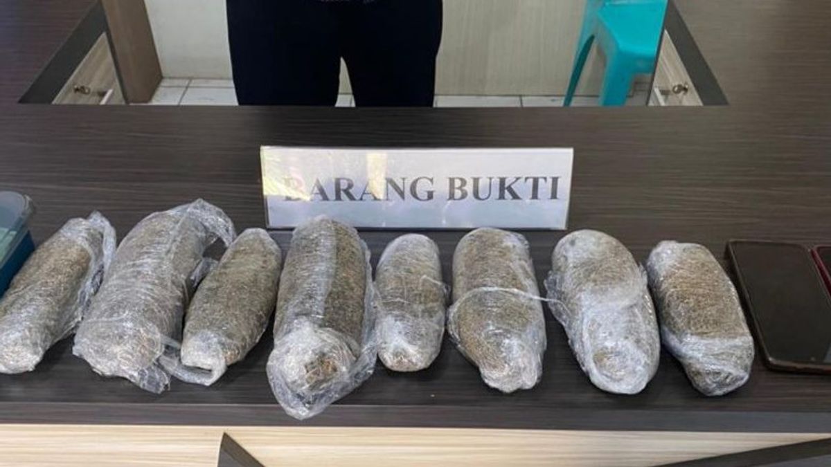 Kendari Police Reveals 1 Kilogram Cannabis Smuggling From Medan