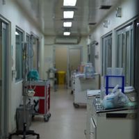 BGN: News of Students in Aceh Dying because of Hoaks MBG
