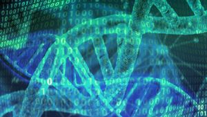 Temuan Terbaru: Ilmuwan Bisa Simpan File 2,5 GB dalam DNA