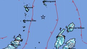 Gempa Bumi Tektonik Magnitudo 6,2 di Kepulauan Talaud, BMKG: Tak Berpotensi Tsunami
