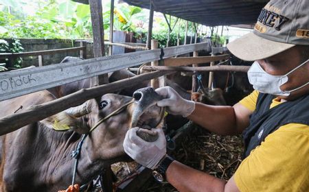 Perhatian, Ini Syarat Tempat Penjualan Hewan Kurban 