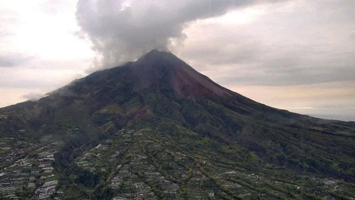 默拉皮火山爆裂2号白炽熔岩 距离 1.8公里