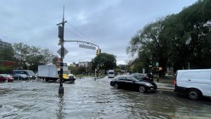  Hujan Deras Sebabkan Dua Orang Tewas dan Penerbangan Terganggu di New York