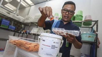 Ministry Of Health Spreads Wolbachia Mosquito Eggs In Kupang Overcome Dengue Fever, Here's How It Works