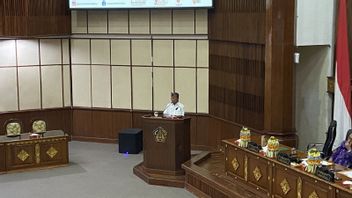 巴厘岛州长向理事会承诺,它将优化威斯曼的征税