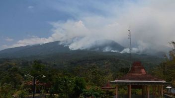 2.000公顷的Lawu山坡上的森林被烧毁,Meluas到Karanganyar