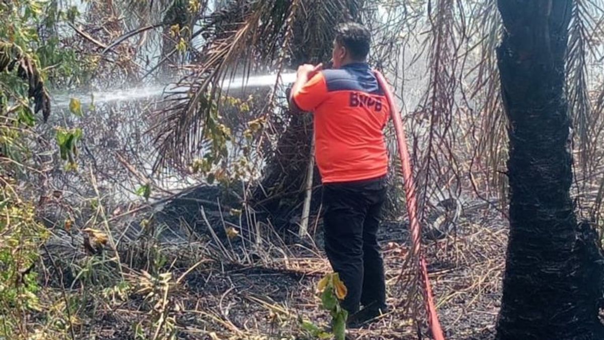警察在亚齐朗萨扑灭泥炭地和棕榈油火灾