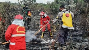 Gubernur Jambi Ingatkan Kabupaten/kota untuk Waspada Kebakaran Hutan di Musim Kemarau