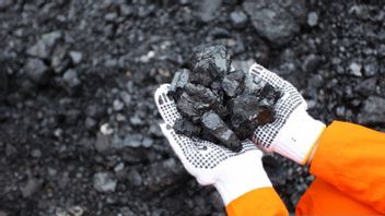 Coal Stock Enough, PLN Makes SURE The Crisis Last Year Is No More Repetitive