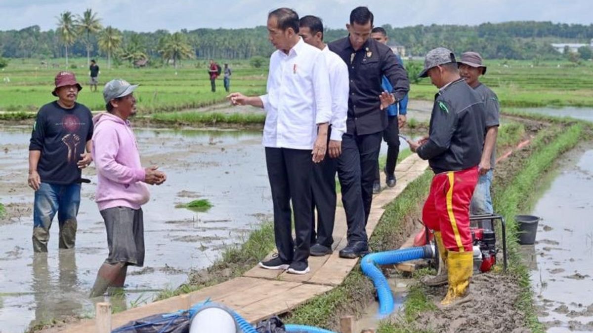 Bone Sulsel的Kunker,Jokowi Tinjau分配灌溉泵援助