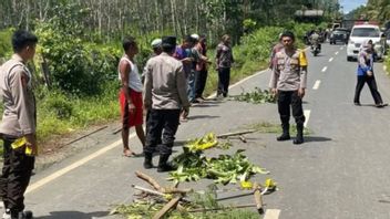 Pieces Of Baby's Body Scattered In Mantewe, South Kalimantan Entered The Police Investigation Radar