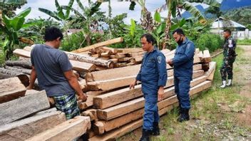 Officiers Conjoints Sita 65 Journaux Résultant De L’exploitation Forestière Illégale à Sulbar Qui N’ont Pas De Documents
