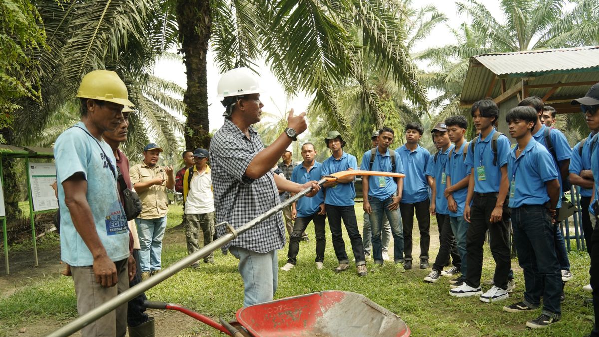 Transformez le jardin Rejosari Center for Sawit Training, PTPN IV renforce les compétences des candidats PMI