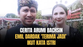 Simple, Emil Dardak Wears Ngantor Clothes For The RI Anniversary Ceremony At The Palace