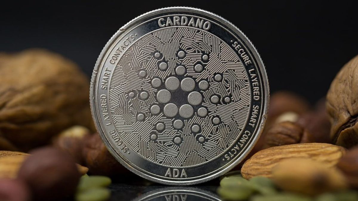 Cardano Founder Charles Hoskinson Says ADA Has The Potential To Change Many People's Lives