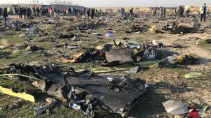 Komandan Sistem Pertahanan Rudal Iran Dihukum Penjara 13 Tahun Karena Menembak Jatuh Pesawat Penumpang Ukraina