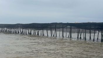 KKP Akui Perlu Waktu untuk Bongkar Pagar Laut di Pesisir Tangerang