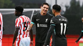 هاتريك 14 دقيقة داروين نونييز باوا ليفربول بونجكام ستوك 5-0 في المباراة المغلقة