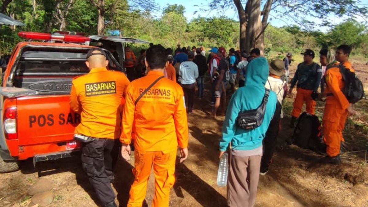 Residents Of East Lombok Not Visiting Home From Looking For Honey In Forests, Joint SAR Teams Focused On Looking At Several Points