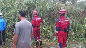 Pohon Tumbang Tutup Jalur Bandung-Cianjur, BPBD Tangani Bersama TNI-Polri