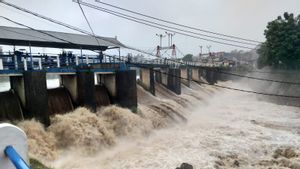Waspada Banjir Jakarta! Bogor Hujan Seharian Bendung Katulampa Siaga 4