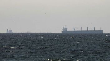 More than 30 Commercial Vessels Currently Sailing Towards the Strait of Hormuz