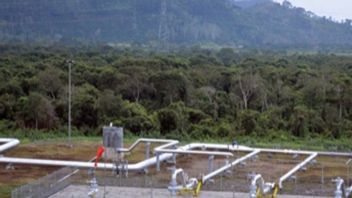 الاستحواذ على 31.45 في المائة من أسهم الطاقة العليا ، Inpex تبدأ في الانضمام إلى مشروع Rajabasa Geothermal