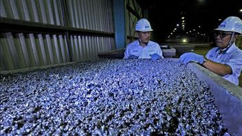 Operasional PT Gag Masih Tunggu Arahan Bahlil