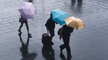 アニス・バスウェダンが東京にいたとき、大雨をもたらす熱帯暴風雨のメアリが東京に向かっていた