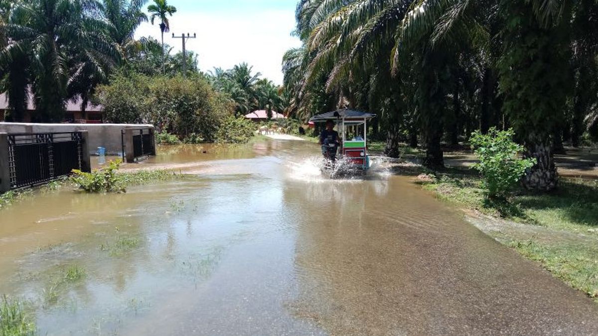 西スマトラ島の洪水によるワニの脅威、BPBDアガムは避難艇を投げる