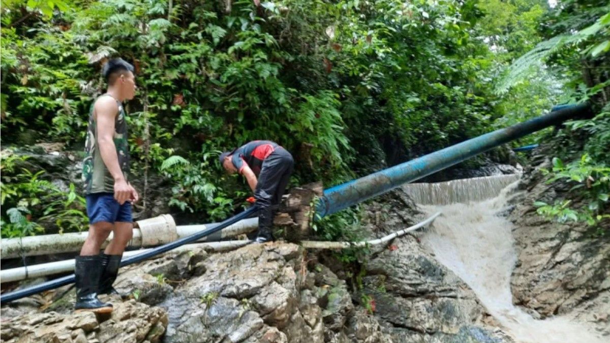 Akui Debut Air Di Jayapura Turun, Pemkot Minta Warga Tak Tebang Tree Sembarangan