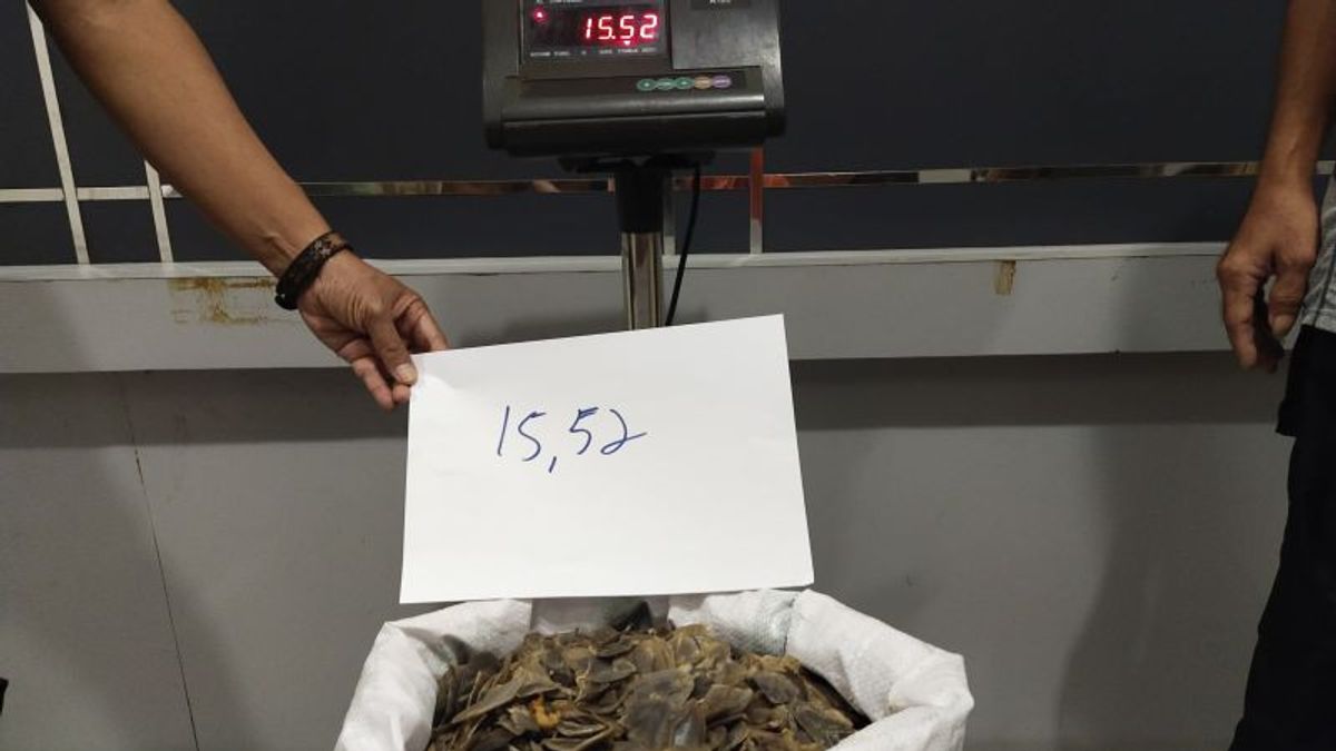 检察官承诺对西加里曼丹15.52公斤穿山甲 Sisik的贸易嫌疑人提出最高指控