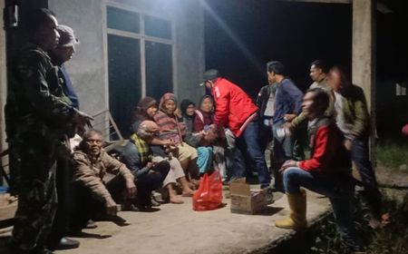 Warga Resah Harimau Sumatera Muncul di Area Perkebunan Lampung Barat