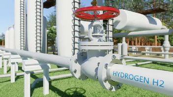 PLN و Pupuk Indonesia Gandeng ACWA طاقة تطوير صناعة الهيدروجين الأخضر المتكاملة