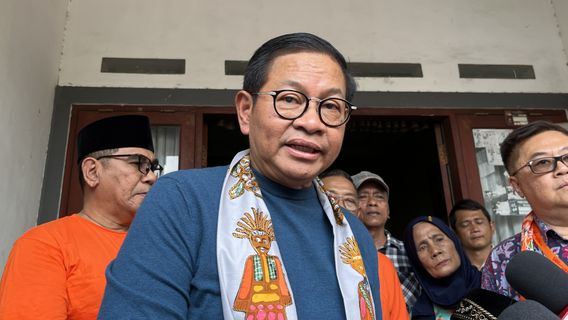 Pramono Proyeksi Pembukaan Taman 24 Jam Bisa Kurangi Tawuran di Jakarta  