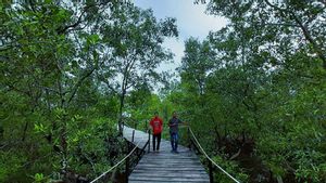 Libur Nataru-Sekolah, Masyarakat Ramai Kunjungi Objek Wisata Arung Hijau