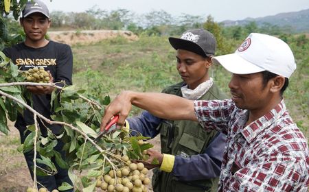 SIG Tingkatkan Kesejahteraan Petani di Rembang melalui Program Semen Gresik Sahabat Petani