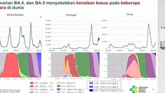 Muncul di Bali, Subvarian BA.4 dan BA.5 Disebut Kemenkes Penyebab Kasus COVID-19 di Sejumlah Negara