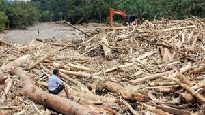 FWK Desak Pemerintah Usut Jejak Kejahatan Lingkungan di Balik Bencana Sumatera