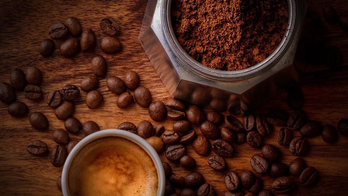 Tak Hanya Ramah Lingkungan, Pemanggang Biji Kopi Surya Insinyur Italia Menjaga Aroma dan Rasa Kopi