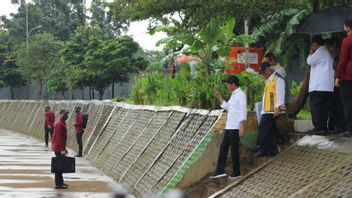 Jokowi Tinjau Normalisasi Ciliwung di Pengadegan Jaksel