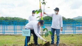Berita Sleman: BBWS Serayu Opak Menggelar Aksi Penanaman Pohon Di Embung Imogiri Bantul